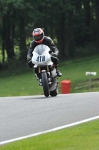 anglesey;brands-hatch;cadwell-park;croft;digital-images;donington-park;enduro;enduro-digital-images;event;event-digital-images;eventdigitalimages;mallory-park;no-limits;oulton-park;peter-wileman-photography;racing;racing-digital-images;silverstone;snetterton;trackday;trackday-digital-images;trackday-photos;vintage;vmcc-banbury-run;welsh-2-day-enduro