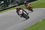anglesey;brands-hatch;cadwell-park;croft;digital-images;donington-park;enduro;enduro-digital-images;event;event-digital-images;eventdigitalimages;mallory-park;no-limits;oulton-park;peter-wileman-photography;racing;racing-digital-images;silverstone;snetterton;trackday;trackday-digital-images;trackday-photos;vintage;vmcc-banbury-run;welsh-2-day-enduro