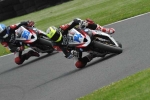 anglesey;brands-hatch;cadwell-park;croft;digital-images;donington-park;enduro;enduro-digital-images;event;event-digital-images;eventdigitalimages;mallory-park;no-limits;oulton-park;peter-wileman-photography;racing;racing-digital-images;silverstone;snetterton;trackday;trackday-digital-images;trackday-photos;vintage;vmcc-banbury-run;welsh-2-day-enduro