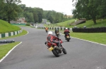 anglesey;brands-hatch;cadwell-park;croft;donington-park;enduro-digital-images;event-digital-images;eventdigitalimages;mallory;no-limits;oulton-park;peter-wileman-photography;racing-digital-images;silverstone;snetterton;trackday-digital-images;trackday-photos;vmcc-banbury-run;welsh-2-day-enduro