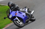 anglesey;brands-hatch;cadwell-park;croft;digital-images;donington-park;enduro;enduro-digital-images;event;event-digital-images;eventdigitalimages;mallory-park;no-limits;oulton-park;peter-wileman-photography;racing;racing-digital-images;silverstone;snetterton;trackday;trackday-digital-images;trackday-photos;vintage;vmcc-banbury-run;welsh-2-day-enduro