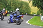 anglesey;brands-hatch;cadwell-park;croft;digital-images;donington-park;enduro;enduro-digital-images;event;event-digital-images;eventdigitalimages;mallory-park;no-limits;oulton-park;peter-wileman-photography;racing;racing-digital-images;silverstone;snetterton;trackday;trackday-digital-images;trackday-photos;vintage;vmcc-banbury-run;welsh-2-day-enduro