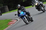 anglesey;brands-hatch;cadwell-park;croft;digital-images;donington-park;enduro;enduro-digital-images;event;event-digital-images;eventdigitalimages;mallory-park;no-limits;oulton-park;peter-wileman-photography;racing;racing-digital-images;silverstone;snetterton;trackday;trackday-digital-images;trackday-photos;vintage;vmcc-banbury-run;welsh-2-day-enduro