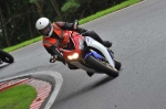 anglesey;brands-hatch;cadwell-park;croft;digital-images;donington-park;enduro;enduro-digital-images;event;event-digital-images;eventdigitalimages;mallory-park;no-limits;oulton-park;peter-wileman-photography;racing;racing-digital-images;silverstone;snetterton;trackday;trackday-digital-images;trackday-photos;vintage;vmcc-banbury-run;welsh-2-day-enduro