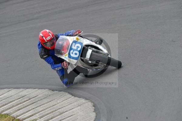 anglesey;brands hatch;cadwell park;croft;digital images;donington park;enduro;enduro digital images;event;event digital images;eventdigitalimages;mallory park;no limits;oulton park;peter wileman photography;racing;racing digital images;silverstone;snetterton;trackday;trackday digital images;trackday photos;vintage;vmcc banbury run;welsh 2 day enduro