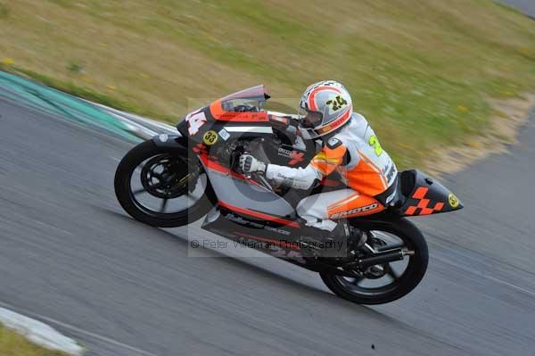 anglesey;brands hatch;cadwell park;croft;digital images;donington park;enduro;enduro digital images;event;event digital images;eventdigitalimages;mallory park;no limits;oulton park;peter wileman photography;racing;racing digital images;silverstone;snetterton;trackday;trackday digital images;trackday photos;vintage;vmcc banbury run;welsh 2 day enduro