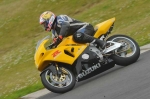 anglesey;brands-hatch;cadwell-park;croft;digital-images;donington-park;enduro;enduro-digital-images;event;event-digital-images;eventdigitalimages;mallory-park;no-limits;oulton-park;peter-wileman-photography;racing;racing-digital-images;silverstone;snetterton;trackday;trackday-digital-images;trackday-photos;vintage;vmcc-banbury-run;welsh-2-day-enduro