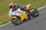 anglesey;brands-hatch;cadwell-park;croft;digital-images;donington-park;enduro;enduro-digital-images;event;event-digital-images;eventdigitalimages;mallory-park;no-limits;oulton-park;peter-wileman-photography;racing;racing-digital-images;silverstone;snetterton;trackday;trackday-digital-images;trackday-photos;vintage;vmcc-banbury-run;welsh-2-day-enduro