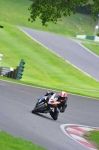 anglesey;brands-hatch;cadwell-park;croft;digital-images;donington-park;enduro;enduro-digital-images;event;event-digital-images;eventdigitalimages;mallory-park;no-limits;oulton-park;peter-wileman-photography;racing;racing-digital-images;silverstone;snetterton;trackday;trackday-digital-images;trackday-photos;vintage;vmcc-banbury-run;welsh-2-day-enduro