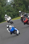 anglesey;brands-hatch;cadwell-park;croft;digital-images;donington-park;enduro;enduro-digital-images;event;event-digital-images;eventdigitalimages;mallory-park;no-limits;oulton-park;peter-wileman-photography;racing;racing-digital-images;silverstone;snetterton;trackday;trackday-digital-images;trackday-photos;vintage;vmcc-banbury-run;welsh-2-day-enduro