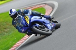 anglesey;brands-hatch;cadwell-park;croft;digital-images;donington-park;enduro;enduro-digital-images;event;event-digital-images;eventdigitalimages;mallory-park;no-limits;oulton-park;peter-wileman-photography;racing;racing-digital-images;silverstone;snetterton;trackday;trackday-digital-images;trackday-photos;vintage;vmcc-banbury-run;welsh-2-day-enduro