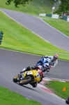 anglesey;brands-hatch;cadwell-park;croft;digital-images;donington-park;enduro;enduro-digital-images;event;event-digital-images;eventdigitalimages;mallory-park;no-limits;oulton-park;peter-wileman-photography;racing;racing-digital-images;silverstone;snetterton;trackday;trackday-digital-images;trackday-photos;vintage;vmcc-banbury-run;welsh-2-day-enduro