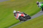 anglesey;brands-hatch;cadwell-park;croft;digital-images;donington-park;enduro;enduro-digital-images;event;event-digital-images;eventdigitalimages;mallory-park;no-limits;oulton-park;peter-wileman-photography;racing;racing-digital-images;silverstone;snetterton;trackday;trackday-digital-images;trackday-photos;vintage;vmcc-banbury-run;welsh-2-day-enduro