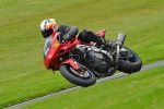 FAST RED/ORANGE BIKES