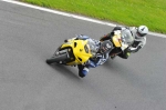 INTER GREEN/YELLOW BIKES