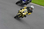 anglesey;brands-hatch;cadwell-park;croft;digital-images;donington-park;enduro;enduro-digital-images;event;event-digital-images;eventdigitalimages;mallory-park;no-limits;oulton-park;peter-wileman-photography;racing;racing-digital-images;silverstone;snetterton;trackday;trackday-digital-images;trackday-photos;vintage;vmcc-banbury-run;welsh-2-day-enduro