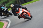 anglesey;brands-hatch;cadwell-park;croft;digital-images;donington-park;enduro;enduro-digital-images;event;event-digital-images;eventdigitalimages;mallory-park;no-limits;oulton-park;peter-wileman-photography;racing;racing-digital-images;silverstone;snetterton;trackday;trackday-digital-images;trackday-photos;vintage;vmcc-banbury-run;welsh-2-day-enduro