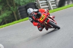 anglesey;brands-hatch;cadwell-park;croft;digital-images;donington-park;enduro;enduro-digital-images;event;event-digital-images;eventdigitalimages;mallory-park;no-limits;oulton-park;peter-wileman-photography;racing;racing-digital-images;silverstone;snetterton;trackday;trackday-digital-images;trackday-photos;vintage;vmcc-banbury-run;welsh-2-day-enduro