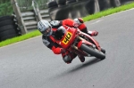 anglesey;brands-hatch;cadwell-park;croft;digital-images;donington-park;enduro;enduro-digital-images;event;event-digital-images;eventdigitalimages;mallory-park;no-limits;oulton-park;peter-wileman-photography;racing;racing-digital-images;silverstone;snetterton;trackday;trackday-digital-images;trackday-photos;vintage;vmcc-banbury-run;welsh-2-day-enduro