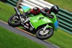 anglesey;brands-hatch;cadwell-park;croft;digital-images;donington-park;enduro;enduro-digital-images;event;event-digital-images;eventdigitalimages;mallory-park;no-limits;oulton-park;peter-wileman-photography;racing;racing-digital-images;silverstone;snetterton;trackday;trackday-digital-images;trackday-photos;vintage;vmcc-banbury-run;welsh-2-day-enduro