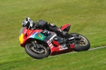 anglesey;brands-hatch;cadwell-park;croft;digital-images;donington-park;enduro;enduro-digital-images;event;event-digital-images;eventdigitalimages;mallory-park;no-limits;oulton-park;peter-wileman-photography;racing;racing-digital-images;silverstone;snetterton;trackday;trackday-digital-images;trackday-photos;vintage;vmcc-banbury-run;welsh-2-day-enduro