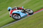 anglesey;brands-hatch;cadwell-park;croft;digital-images;donington-park;enduro;enduro-digital-images;event;event-digital-images;eventdigitalimages;mallory-park;no-limits;oulton-park;peter-wileman-photography;racing;racing-digital-images;silverstone;snetterton;trackday;trackday-digital-images;trackday-photos;vintage;vmcc-banbury-run;welsh-2-day-enduro