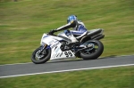 anglesey;brands-hatch;cadwell-park;croft;digital-images;donington-park;enduro;enduro-digital-images;event;event-digital-images;eventdigitalimages;mallory-park;no-limits;oulton-park;peter-wileman-photography;racing;racing-digital-images;silverstone;snetterton;trackday;trackday-digital-images;trackday-photos;vintage;vmcc-banbury-run;welsh-2-day-enduro