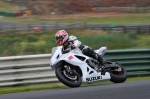 anglesey;brands-hatch;cadwell-park;croft;digital-images;donington-park;enduro;enduro-digital-images;event;event-digital-images;eventdigitalimages;mallory-park;no-limits;oulton-park;peter-wileman-photography;racing;racing-digital-images;silverstone;snetterton;trackday;trackday-digital-images;trackday-photos;vintage;vmcc-banbury-run;welsh-2-day-enduro