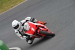 anglesey;brands-hatch;cadwell-park;croft;digital-images;donington-park;enduro;enduro-digital-images;event;event-digital-images;eventdigitalimages;mallory-park;no-limits;oulton-park;peter-wileman-photography;racing;racing-digital-images;silverstone;snetterton;trackday;trackday-digital-images;trackday-photos;vintage;vmcc-banbury-run;welsh-2-day-enduro