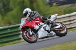 anglesey;brands-hatch;cadwell-park;croft;digital-images;donington-park;enduro;enduro-digital-images;event;event-digital-images;eventdigitalimages;mallory-park;no-limits;oulton-park;peter-wileman-photography;racing;racing-digital-images;silverstone;snetterton;trackday;trackday-digital-images;trackday-photos;vintage;vmcc-banbury-run;welsh-2-day-enduro