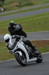 anglesey;brands-hatch;cadwell-park;croft;donington-park;enduro-digital-images;event-digital-images;eventdigitalimages;mallory;no-limits;oulton-park;peter-wileman-photography;racing-digital-images;silverstone;snetterton;trackday-digital-images;trackday-photos;vmcc-banbury-run