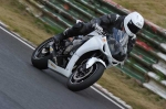 anglesey;brands-hatch;cadwell-park;croft;donington-park;enduro-digital-images;event-digital-images;eventdigitalimages;mallory;no-limits;oulton-park;peter-wileman-photography;racing-digital-images;silverstone;snetterton;trackday-digital-images;trackday-photos;vmcc-banbury-run