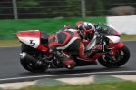 anglesey;brands-hatch;cadwell-park;croft;donington-park;enduro-digital-images;event-digital-images;eventdigitalimages;mallory;no-limits;oulton-park;peter-wileman-photography;racing-digital-images;silverstone;snetterton;trackday-digital-images;trackday-photos;vmcc-banbury-run