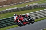anglesey;brands-hatch;cadwell-park;croft;donington-park;enduro-digital-images;event-digital-images;eventdigitalimages;mallory;no-limits;oulton-park;peter-wileman-photography;racing-digital-images;silverstone;snetterton;trackday-digital-images;trackday-photos;vmcc-banbury-run