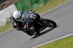 anglesey;brands-hatch;cadwell-park;croft;donington-park;enduro-digital-images;event-digital-images;eventdigitalimages;mallory-park;no-limits;oulton-park;peter-wileman-photography;racing-digital-images;silverstone;snetterton;trackday-digital-images;trackday-photos;vmcc-banbury-run;welsh-2-day-enduro