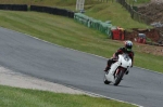 anglesey;brands-hatch;cadwell-park;croft;donington-park;enduro-digital-images;event-digital-images;eventdigitalimages;mallory-park;no-limits;oulton-park;peter-wileman-photography;racing-digital-images;silverstone;snetterton;trackday-digital-images;trackday-photos;vmcc-banbury-run;welsh-2-day-enduro