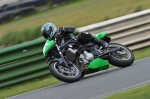 anglesey;brands-hatch;cadwell-park;croft;donington-park;enduro-digital-images;event-digital-images;eventdigitalimages;mallory-park;no-limits;oulton-park;peter-wileman-photography;racing-digital-images;silverstone;snetterton;trackday-digital-images;trackday-photos;vmcc-banbury-run;welsh-2-day-enduro