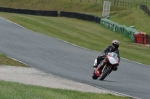 anglesey;brands-hatch;cadwell-park;croft;donington-park;enduro-digital-images;event-digital-images;eventdigitalimages;mallory-park;no-limits;oulton-park;peter-wileman-photography;racing-digital-images;silverstone;snetterton;trackday-digital-images;trackday-photos;vmcc-banbury-run;welsh-2-day-enduro