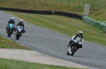 anglesey;brands-hatch;cadwell-park;croft;donington-park;enduro-digital-images;event-digital-images;eventdigitalimages;mallory-park;no-limits;oulton-park;peter-wileman-photography;racing-digital-images;silverstone;snetterton;trackday-digital-images;trackday-photos;vmcc-banbury-run;welsh-2-day-enduro