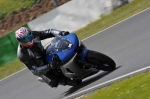 anglesey;brands-hatch;cadwell-park;croft;donington-park;enduro-digital-images;event-digital-images;eventdigitalimages;mallory-park;no-limits;oulton-park;peter-wileman-photography;racing-digital-images;silverstone;snetterton;trackday-digital-images;trackday-photos;vmcc-banbury-run;welsh-2-day-enduro