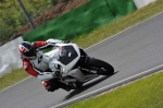 anglesey;brands-hatch;cadwell-park;croft;donington-park;enduro-digital-images;event-digital-images;eventdigitalimages;mallory-park;no-limits;oulton-park;peter-wileman-photography;racing-digital-images;silverstone;snetterton;trackday-digital-images;trackday-photos;vmcc-banbury-run;welsh-2-day-enduro