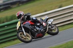 anglesey;brands-hatch;cadwell-park;croft;donington-park;enduro-digital-images;event-digital-images;eventdigitalimages;mallory-park;no-limits;oulton-park;peter-wileman-photography;racing-digital-images;silverstone;snetterton;trackday-digital-images;trackday-photos;vmcc-banbury-run;welsh-2-day-enduro