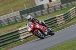 anglesey;brands-hatch;cadwell-park;croft;donington-park;enduro-digital-images;event-digital-images;eventdigitalimages;mallory-park;no-limits;oulton-park;peter-wileman-photography;racing-digital-images;silverstone;snetterton;trackday-digital-images;trackday-photos;vmcc-banbury-run;welsh-2-day-enduro