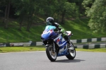 FAST BLUE/WHITE BIKES