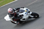 anglesey;brands-hatch;cadwell-park;croft;donington-park;enduro-digital-images;event-digital-images;eventdigitalimages;mallory;no-limits;oulton-park;peter-wileman-photography;racing-digital-images;silverstone;snetterton;trackday-digital-images;trackday-photos;vmcc-banbury-run