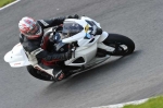 anglesey;brands-hatch;cadwell-park;croft;donington-park;enduro-digital-images;event-digital-images;eventdigitalimages;mallory;no-limits;oulton-park;peter-wileman-photography;racing-digital-images;silverstone;snetterton;trackday-digital-images;trackday-photos;vmcc-banbury-run