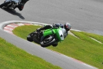 anglesey;brands-hatch;cadwell-park;croft;donington-park;enduro-digital-images;event-digital-images;eventdigitalimages;mallory;no-limits;oulton-park;peter-wileman-photography;racing-digital-images;silverstone;snetterton;trackday-digital-images;trackday-photos;vmcc-banbury-run