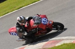 anglesey;brands-hatch;cadwell-park;croft;donington-park;enduro-digital-images;event-digital-images;eventdigitalimages;mallory;no-limits;oulton-park;peter-wileman-photography;racing-digital-images;silverstone;snetterton;trackday-digital-images;trackday-photos;vmcc-banbury-run