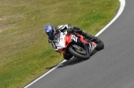anglesey;brands-hatch;cadwell-park;croft;donington-park;enduro-digital-images;event-digital-images;eventdigitalimages;mallory;no-limits;oulton-park;peter-wileman-photography;racing-digital-images;silverstone;snetterton;trackday-digital-images;trackday-photos;vmcc-banbury-run