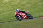 anglesey;brands-hatch;cadwell-park;croft;donington-park;enduro-digital-images;event-digital-images;eventdigitalimages;mallory;no-limits;oulton-park;peter-wileman-photography;racing-digital-images;silverstone;snetterton;trackday-digital-images;trackday-photos;vmcc-banbury-run